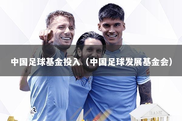 中国足球基金投入(中国足球发展基金会)
