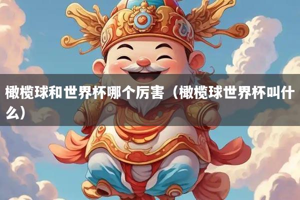 橄榄球和世界杯哪个厉害(橄榄球世界杯叫什么)